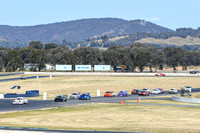 2lt Sports Sedans / Pulsar @ Winton 2 Nov 2024